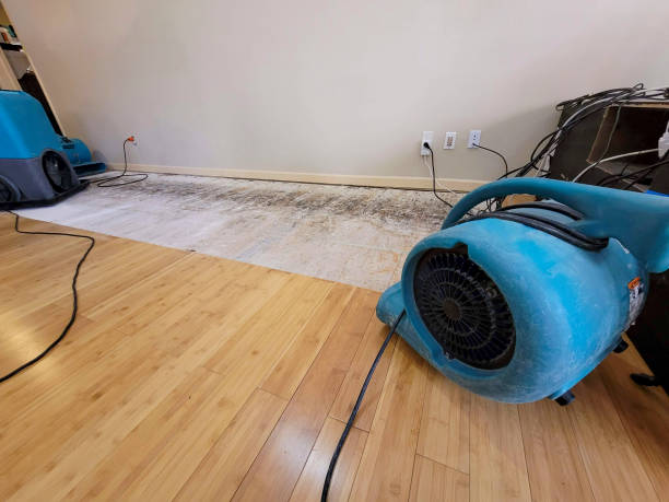 Professional Ceiling Water Damage Repair technician working in Yolyn, WV