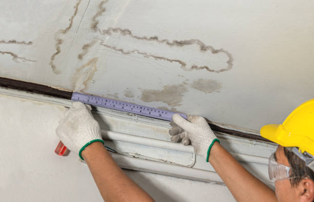 Affordable Ceiling Water Damage Repair solutions in Yolyn, WV